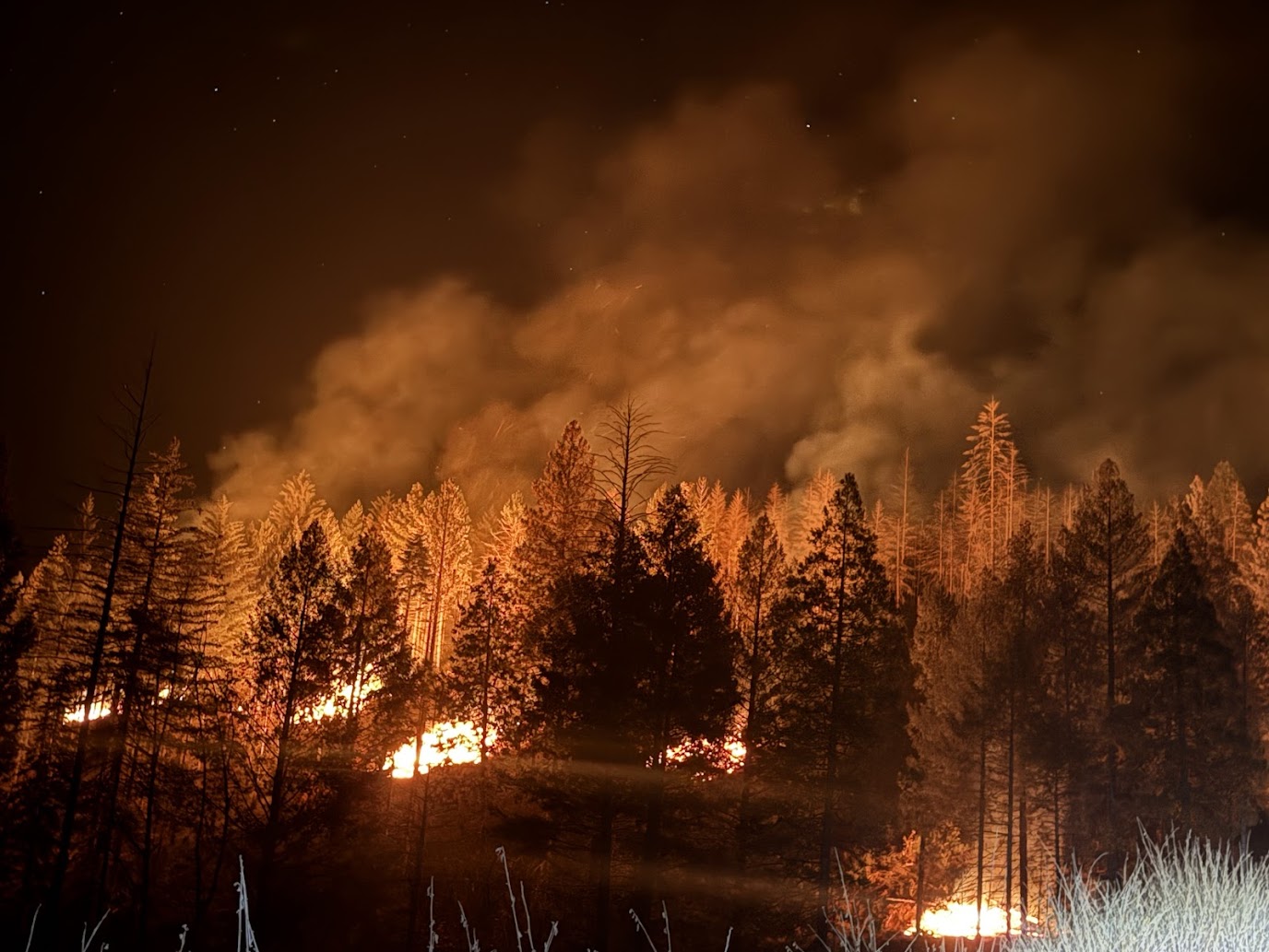 Advancing Forest Health & Wildfire Resilience
