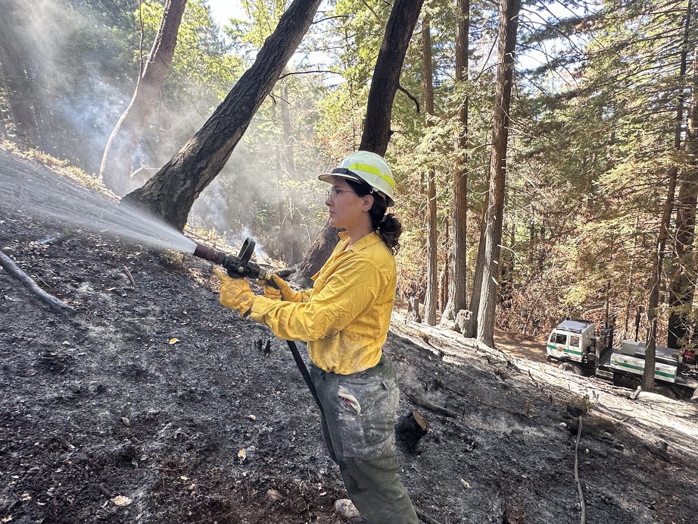 Supporting the Central Coast Prescribed Burn Association Foresters TREX Collaboration